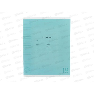 Тетрадь 18л лин. ПандаРог, плас. прозр. обложка, голубая 15-7893  *120