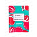 Consly Маска тканевая с экстр япон сливы для кожи с возр изменен 25мл Consly Маска тканевая с экстр япон сливы для кожи с возр изменен 25мл