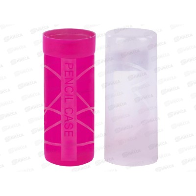 Пенал-тубус Пифагор пласт. асс. 271582