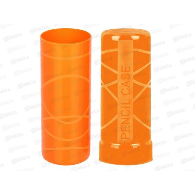 Пенал-тубус Пифагор пласт. асс.  тониров 271583