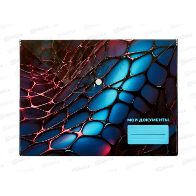 Папка с кноп. SILWERHOF А4 25мм, Web белая 2015298 *5/100