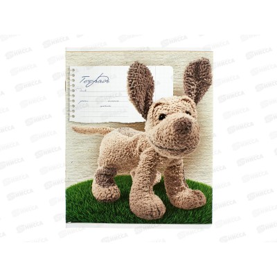 Тетрадь 12л лин. ПЗБМ Максик и Миша ,018676*20/120