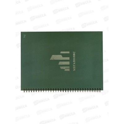 Тетрадь 100л  BG А4 Моноколор Мегаполис,63219*3/12