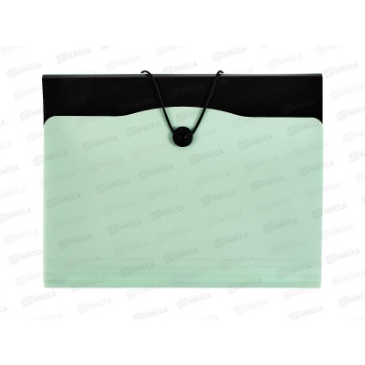 Папка-картотека А4 Alingar 13отд.мятный клапан,AL12822 Папка-картотека А4 Alingar 13отд.мятный клапан,AL12822