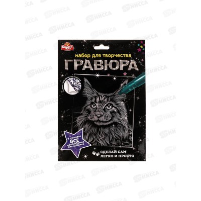 Гравюра 18*24см серебряная Кот, SCRATCHART-SLV-CAT1, 334681