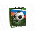 Пакет подарочный 26х32х14см l Матовый Футбол PL-130226-FB *12