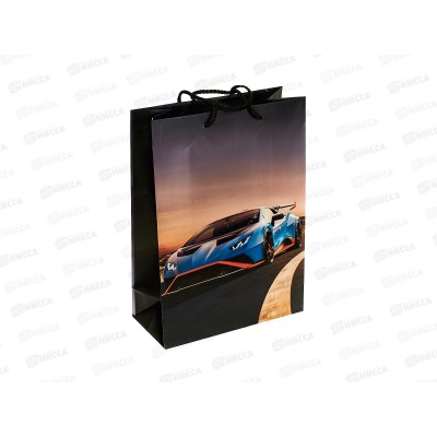 Пакет подарочный 22х31х10см ml Матовый Спорткар PML-102344-LG *12