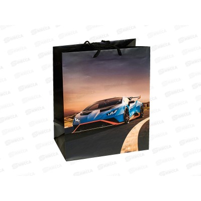 Пакет подарочный 26х32х14см l Матовый Спорткар PL-102346-LG *12