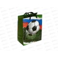 Пакет подарочный 18х23х10см m Матовый Футбол, PM-130221-FB *12