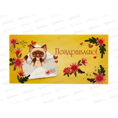 Конверт для денег КП Поздравляю!, 9195 *10