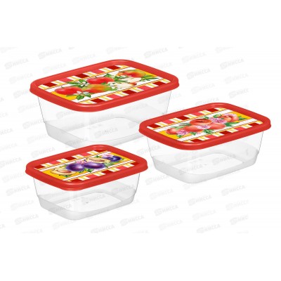 Контейнер набор 3шт &quotСицилия&quot прямоуг красный 223136006/04