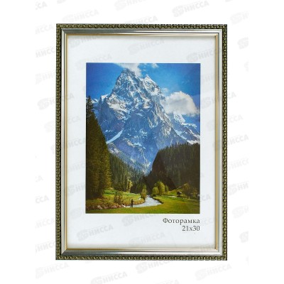 Фоторамка пл. Камея 21*30 990 с ножкой серебро *26