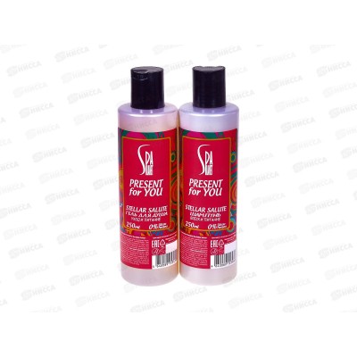 PRESENT for YOU Stellar Salute 585 подарочный набор (шампунь250мл+гель душ) муж *7