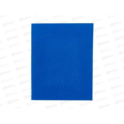 Тетрадь 48л лин. BG б/в син.,12317*4/56