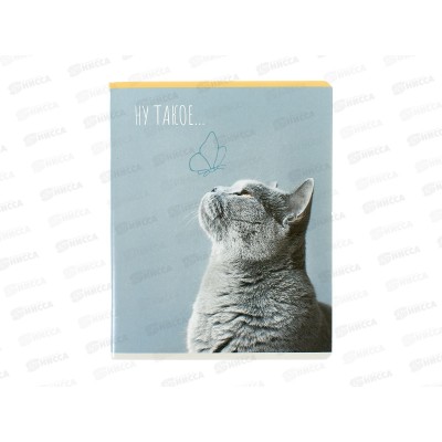 Тетрадь 96л лин. BG Гав-мяу,12094*4/32 Тетрадь 96л лин. BG Гав-мяу,12094*4/32