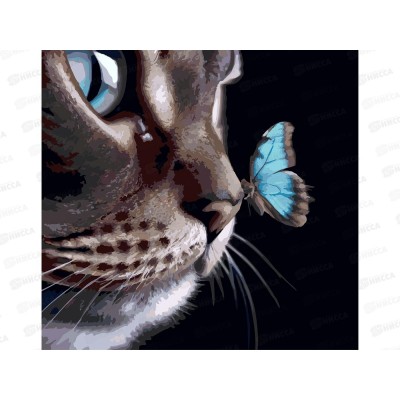 Холст с красками 40х40см Кот и бабочка, Х-5626