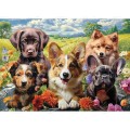 Алмаз. мозаика (класс.) 30х40см Селфи щенков, НД-6366 без подр.