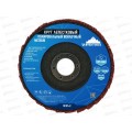Круг лепестковый полировальный войлочный 125Х22мм Medium, 12125-2  *10