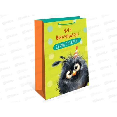 Пакет подарочный АД 18*22,3 0192.691