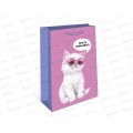 Пакет подарочный АД 18*22,3 0192.698