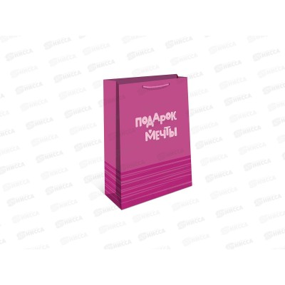 Пакет подарочный АД 18*22,3 0192.703