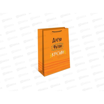 Пакет подарочный АД 26*32 0193.702