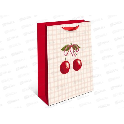 Пакет подарочный АД 18*22,3 Стандарт плюс 2311.020