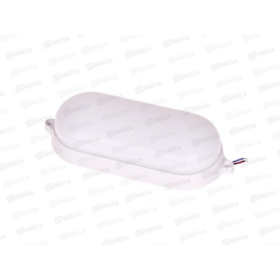 Светильник светодиодный  IP65 12Вт 4000K 960Лм 25101 duwi