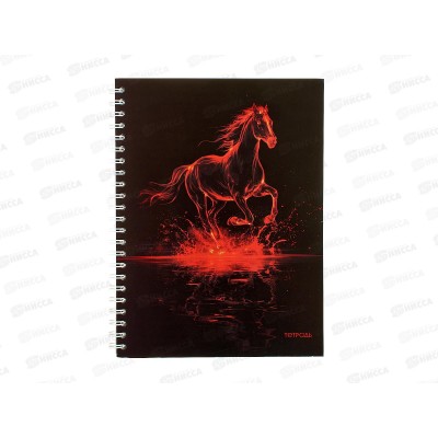 Тетрадь 80л кл. Апплика Огненный конь,греб.С0062-06*52