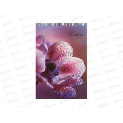 Блокнот 80л А5 Апплика, Красвый цветок, С4170-41*80