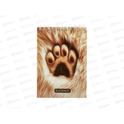 Блокнот 80л А6 Апплика, на греб., Меховая лапка, С4173-109 *80 Блокнот 80л А6 Апплика, на греб., Меховая лапка, С4173-109 *80