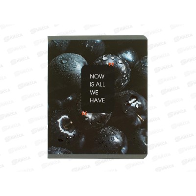 Тетрадь 48л кл. ЭКСМ Natural Black ТКЛ489677 *10/100 Тетрадь 48л кл. ЭКСМ Natural Black ТКЛ489677 *10/100