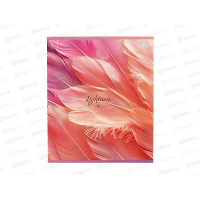 Тетрадь 36л лин. Alingar Lightness, AL10346*12/72