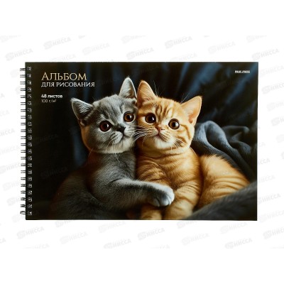 Альбом д/рис.48л ПП Объятия котят, офс., гребень, А48-8300 Альбом д/рис.48л ПП Объятия котят, офс., гребень, А48-8300