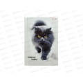 Записная книжка ПП А6 96л Пушистый котик - 5, 96-7562