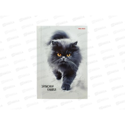 Записная книжка ПП А6 96л Пушистый котик - 5, 96-7562