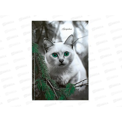 Ежедневник ПП А5 80л Зеленоглазый кот, недатир. 80-6761 *20