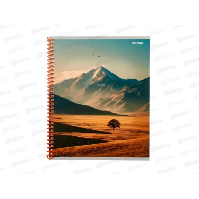 Тетрадь 48л клетка ПП Красивые пейзажи - 4, гребень, 48-8322 *4/80