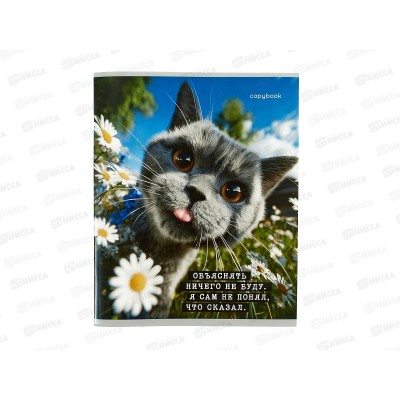 Тетрадь 48л клетка ПП Коты-мемы, 5 диз., Т48-9122 *10/100