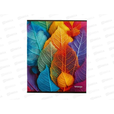 Тетрадь 40л кл. Апплика Яркие листья ,С6046-36 *80 Тетрадь 40л кл. Апплика Яркие листья ,С6046-36 *80