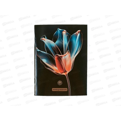 Ежедневник Апплика А6,48л ,Тюльпан на черный ,1365-88*32 Ежедневник Апплика А6,48л ,Тюльпан на черный ,1365-88*32