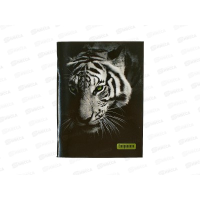 Ежедневник Апплика А6,48л ,Тигр,1365-94*32