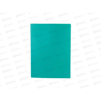 Папка с мульт.  60стр LITE А4 зеленый 500мкм NP0155-60G *10