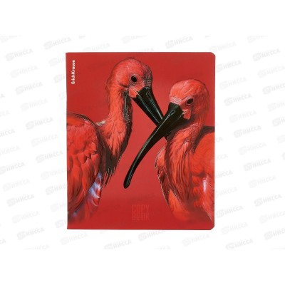 Тетрадь 48л кл. ПОЛИ Scarlet 64868*5/100