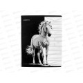 Тетрадь 80л кл. АКАД Кони EAC-15170/5 *15/45
