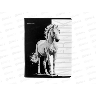 Тетрадь 80л кл. АКАД Кони EAC-15170/5 *15/45 Тетрадь 80л кл. АКАД Кони EAC-15170/5 *15/45