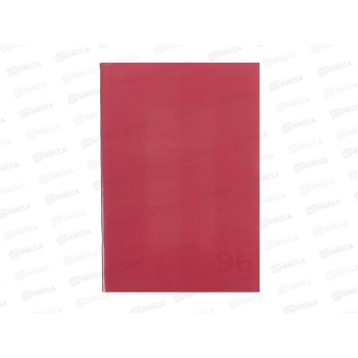 Тетрадь 96л кл. АКАД А4 Viva Magenta 13998/3-ЕАС *12/24