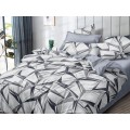 Комплект постельного белья 2,0сп европростыня LUXOR поплин F 77018 А/В