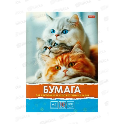 Папка д/рисования и худ.работ  А4 10л Hatber Белый, серый, рыжий.34881