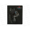Тетрадь 48л кл. Hatber Black Cat 093159 *5/60 Тетрадь 48л кл. Hatber Black Cat 093159 *5/60